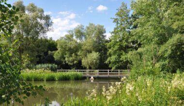 Autorinnen lesen am Tretbecken in Sachsenberg