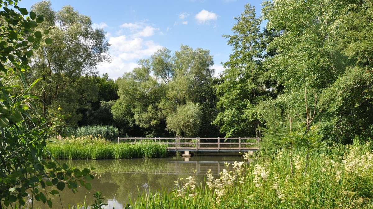 Autorinnen lesen am Tretbecken in Sachsenberg
