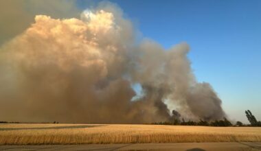 Waldbrand in Gohrischheide (Quelle: rbb/Aline Lepsch)