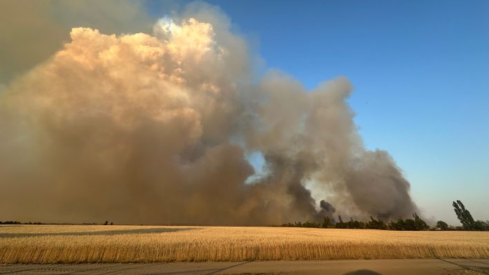 Waldbrand in Gohrischheide (Quelle: rbb/Aline Lepsch)