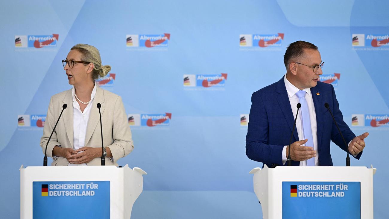 Bundestag: AfD-Bundestagsfraktion beschließt Verhaltenskodex | DIE ZEIT