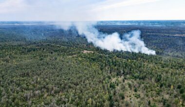 Ausbreitung der Waldbrände in Thüringen und Sachsen vorerst verhindert