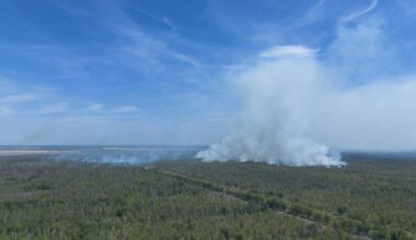 Waldbrände: Keine Entwarnung bei Waldbränden im Osten Deutschlands