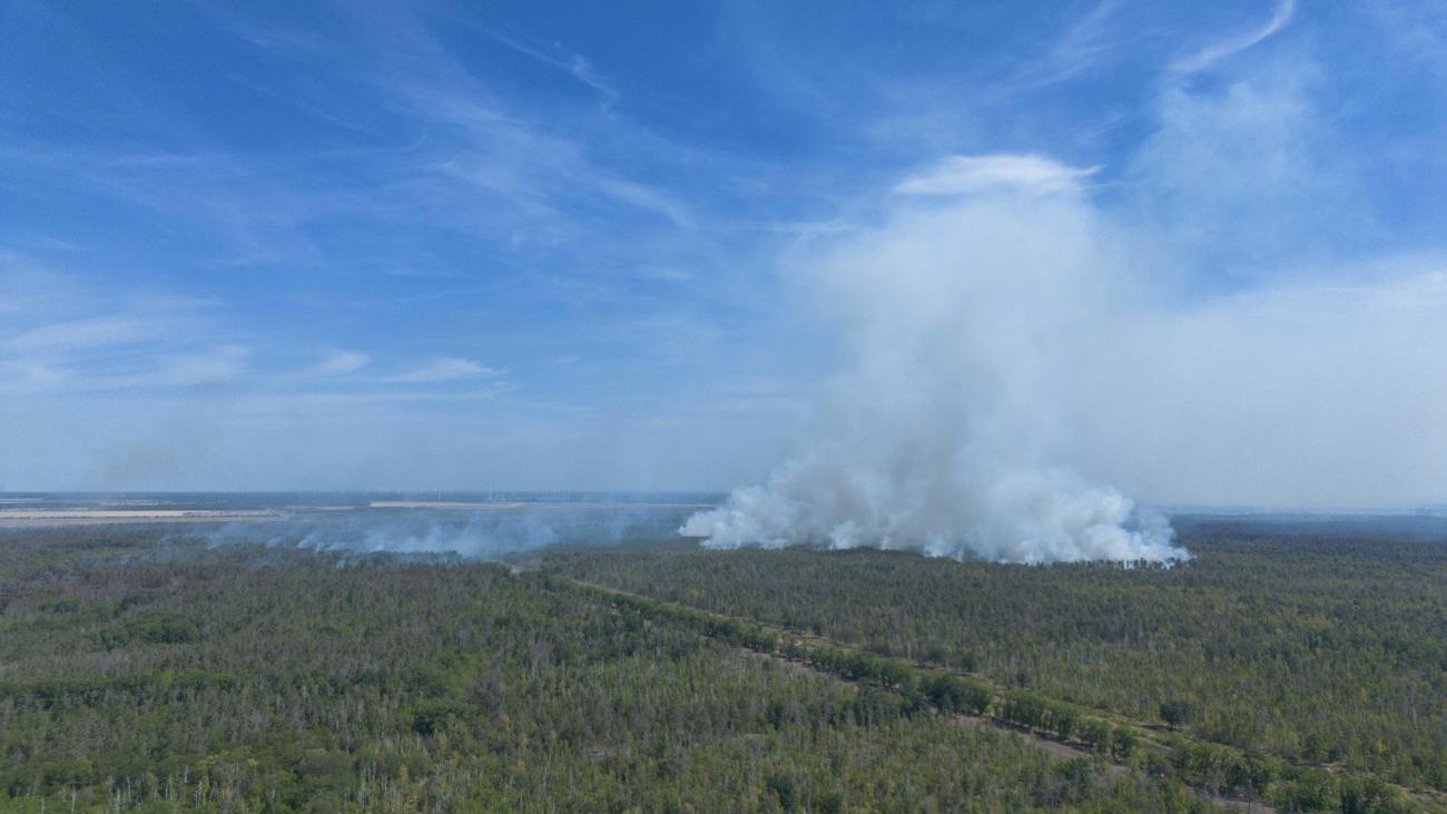 Waldbrände: Keine Entwarnung bei Waldbränden im Osten Deutschlands