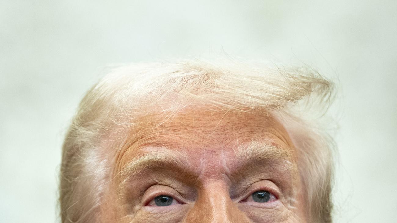 Donald Trump und Friedrich Merz: Er ist überall