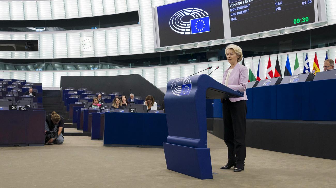 EU-Parlament: Warum sich Ursula von der Leyen einem Misstrauensvotum stellen muss