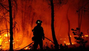 Waldbrände in Europa: Flüge von Deutschland nach Sardinien wegen Waldbrandes umgeleitet