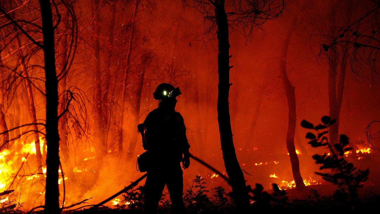 Waldbrände in Europa: Flüge von Deutschland nach Sardinien wegen Waldbrandes umgeleitet