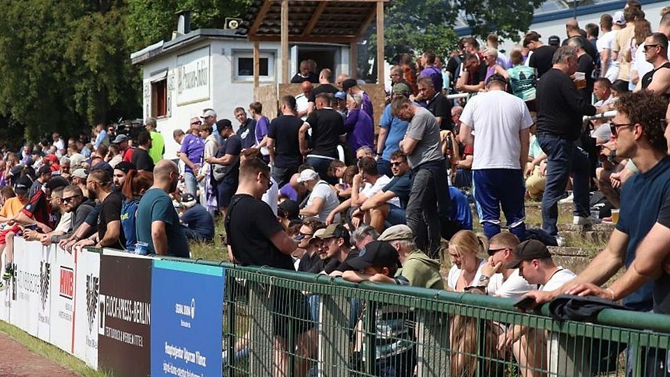 Berliner Regio-Teams vor Start: Hier spielen sie zu Hause