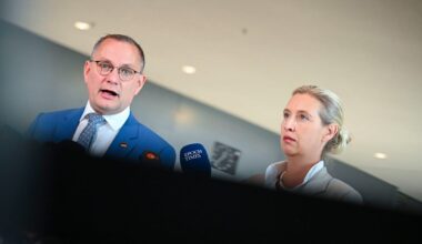 Frage nach Verfassungstreue: Nach AfD-Entscheidung in Mainz – Innenministerium stellt Vorgehen bei Bundesbeamten klar