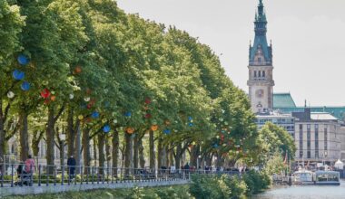 Straßenbäume in Hamburg: "Es macht keinen Sinn mehr, deutsche Eichen in die Stadt zu pflanzen"
