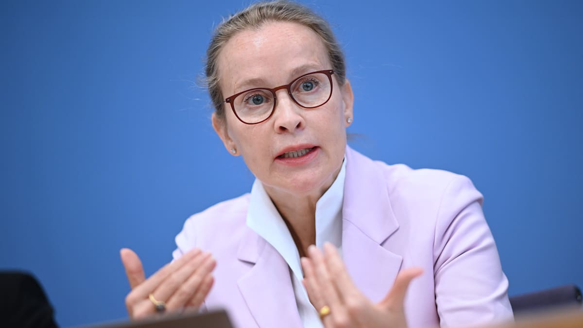 Frauke Brosius-Gersdorf: „Ich nehme sie als Aktivistin wahr“ – Jurist bearbeitet ihren Wikipedia-Eintrag