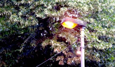 e Straßenlaterne brennt in Berlin Biesdorf. In Berlin Biesdorf brennen rund 80 Straßenlaternen rund um die Uhr. Grund dafür ist der Befall eines Schalthäuschen für Strom durch Insekten. Zuständig für die öffentliche Straßenbeleuchtung ist die Senatsverwaltung für Mobilität, Verkehr, Klimaschutz und Umwelt (MVKU). (Foto: dpa)