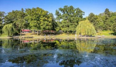 Symbolbild:Großer Teich im Volkspark Friedrichshain.(Quelle:imago images/Schoening)