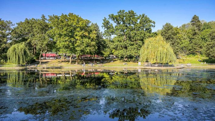Symbolbild:Großer Teich im Volkspark Friedrichshain.(Quelle:imago images/Schoening)
