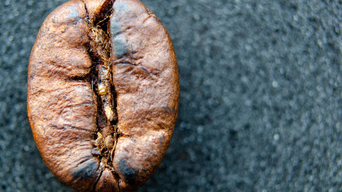 Kaffeepreis: Macht Trump den Kaffee in Deutschland teurer?