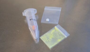 Symbolbild: MDMA in Pulver- und Pillenform liegen in einem Drug-Checking-Labor auf dem Gelände des Fusion-Festivals auf einem Tisch am 20.06.2025. (Quelle: picture alliance/dpa/Philip Dulian)