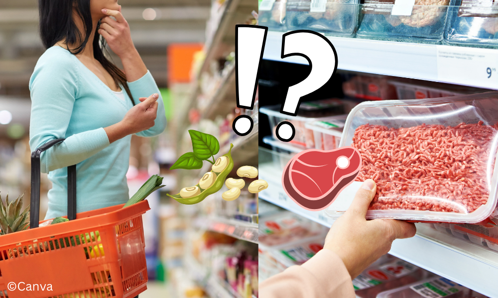 EU will Bezeichnungen für Fleischersatzprodukte strenger regulieren