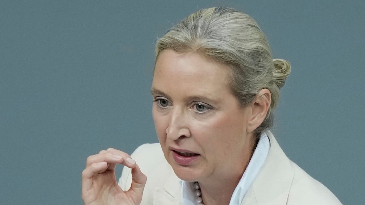 Vicky Leandros will nicht für Alice Weidel singen – AfD-Chefin bleibt Konzern fern