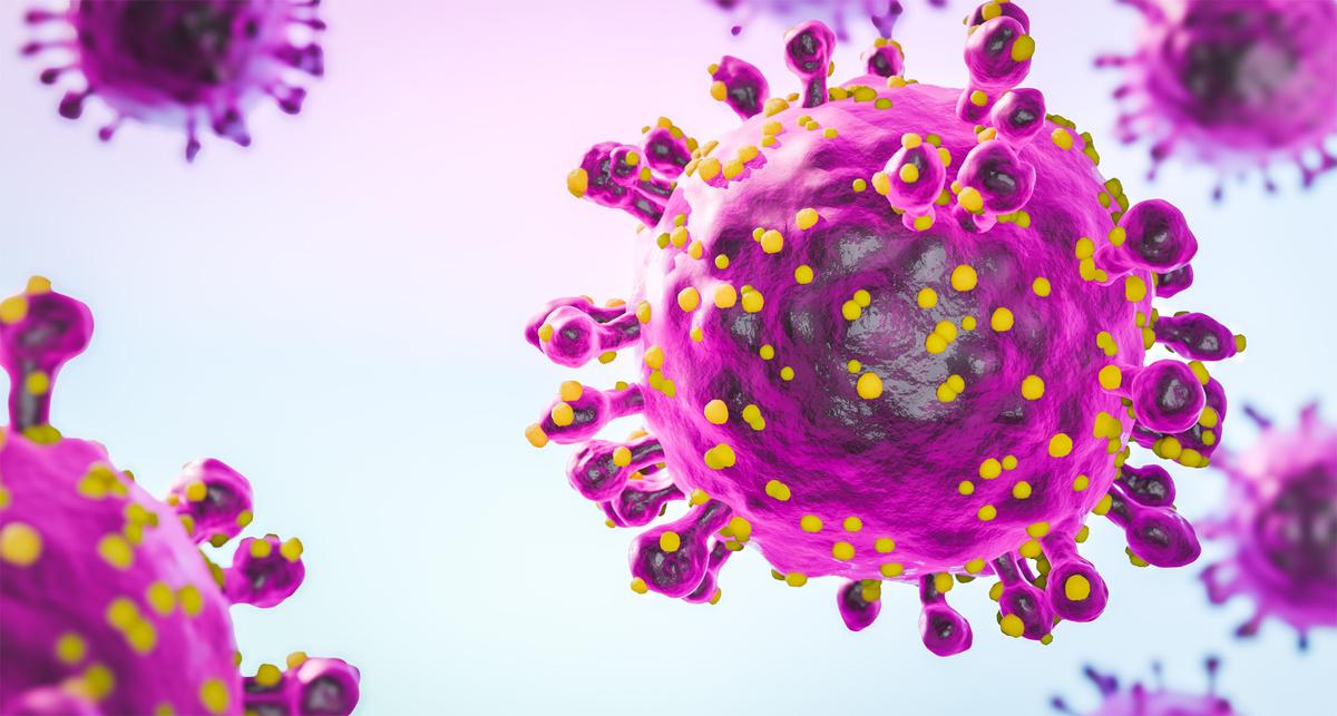 Asiatische Tigermücke kann in Südeuropa Oropouche-Virus übertragen – News – Deutsches Ärzteblatt