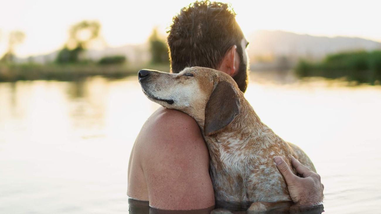 Tierfotografie: Ciao, Maddie | DIE ZEIT