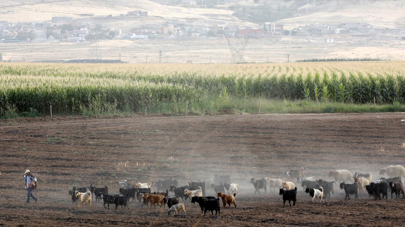 Extremwetter: Türkei meldet Hitzerekord von 50,5 Grad
