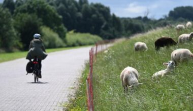 Elbvertiefung: Der tägliche Newsletter aus Hamburg: "Goldener Spaten": Wie die Umweltbehörde die Entsiegelung fördern will