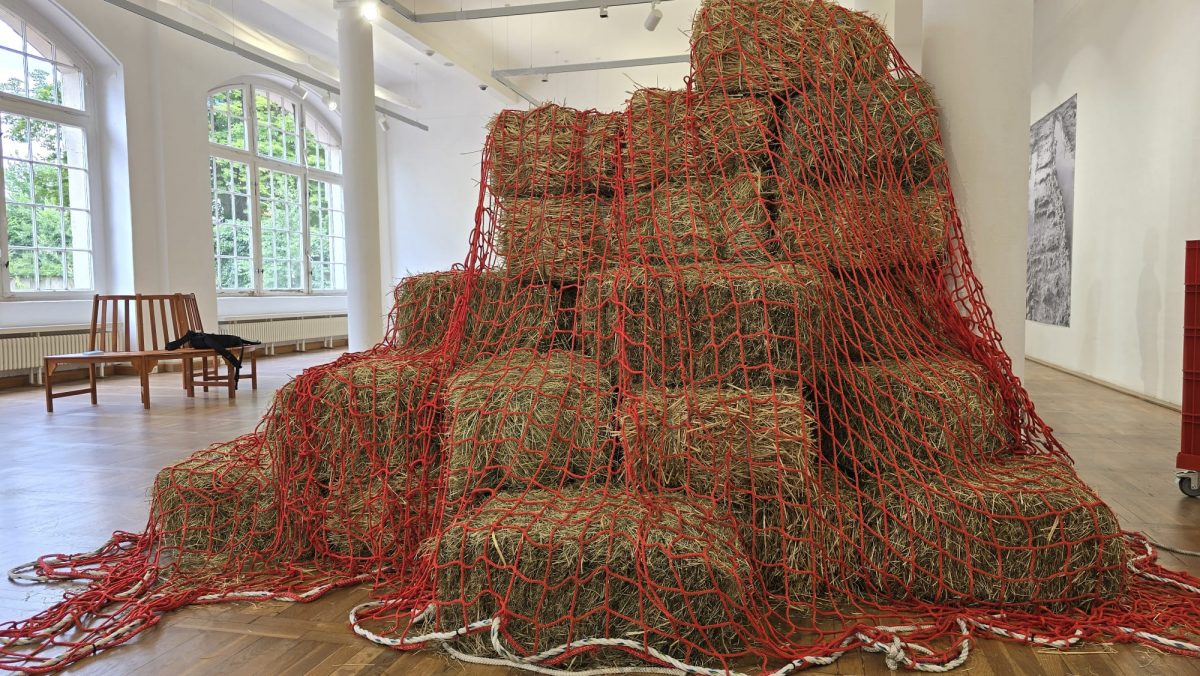 „Take Off“-Ausstellung der Burg-Meisterschüler*innen öffnet im Volkspark – Du bist Halle