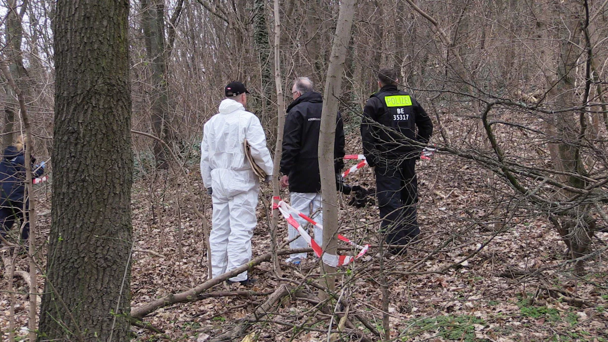 Ungeklärter Kriminalfall - Neue Hinweise zu Oberschenkel-Fund in Berlin nach TV-Sendung - Panorama