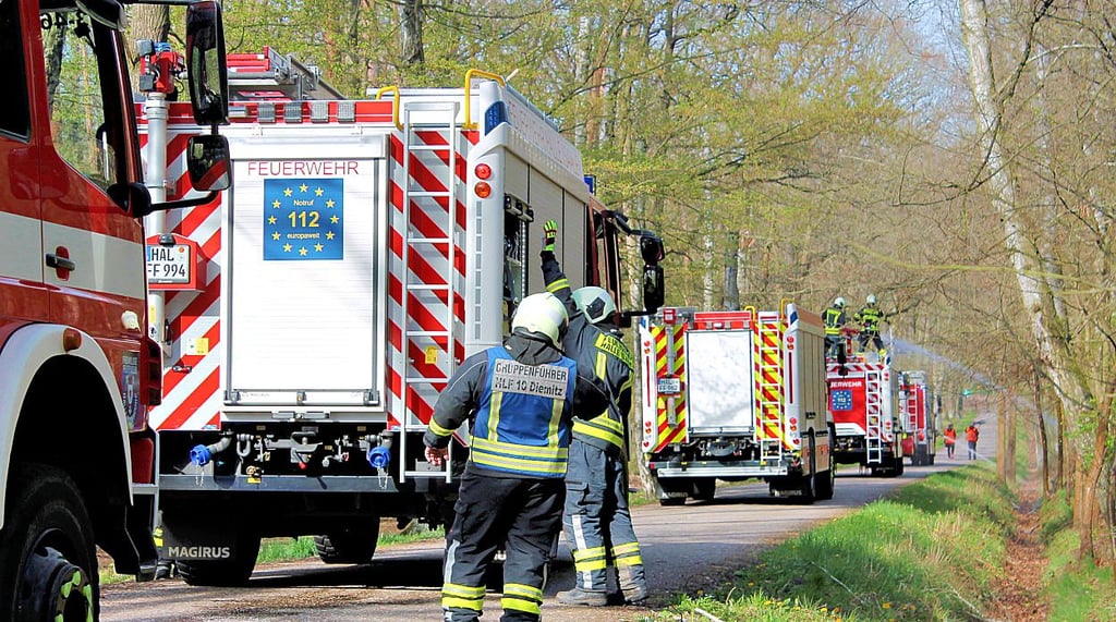 Feuerwehrübung 2023 in der Dölauer Heide.