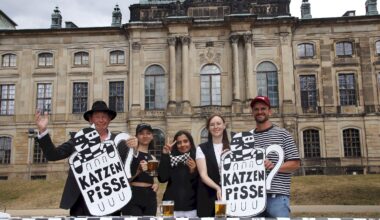 Festival Karierte Katze: Musik, Kultur und Picknick mitten in Dresden