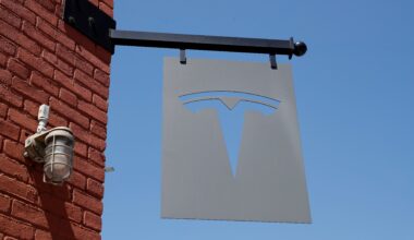 Tesla-Aktien fallen, während Musks „America Party“ Investoren beunruhigt