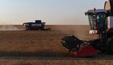 Stavropol stärkt Russlands Weizenhoffnungen trotz Dürre in Rostow