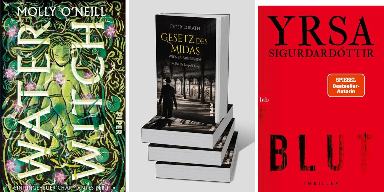 Die neuesten Krimis, Romane und Thriller