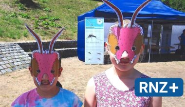 Mannheim: "Tag der Insekten" am Samstag im Luisenpark - Mannheim und Metropolregion Rhein-Neckar - Nachrichten und Aktuelles