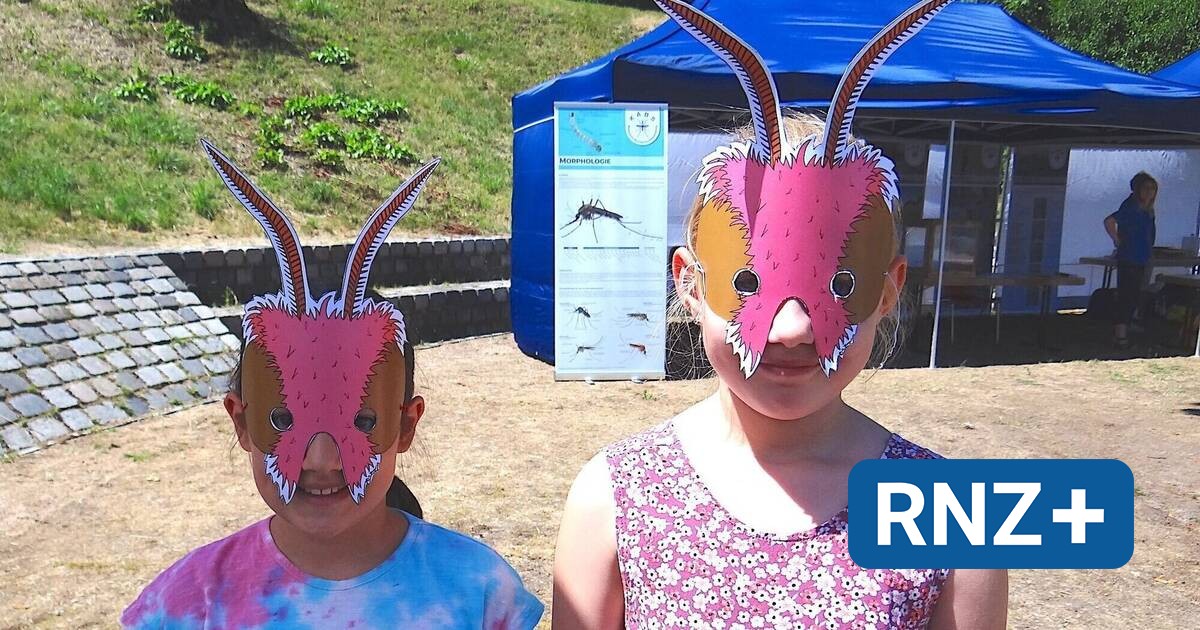 Mannheim: "Tag der Insekten" am Samstag im Luisenpark - Mannheim und Metropolregion Rhein-Neckar - Nachrichten und Aktuelles