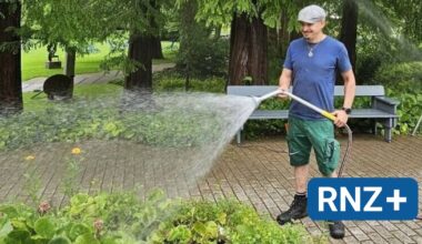 Mannheim: Wie der Luisenpark dem Klimawandel trotzt - Mannheim und Metropolregion Rhein-Neckar - Nachrichten und Aktuelles