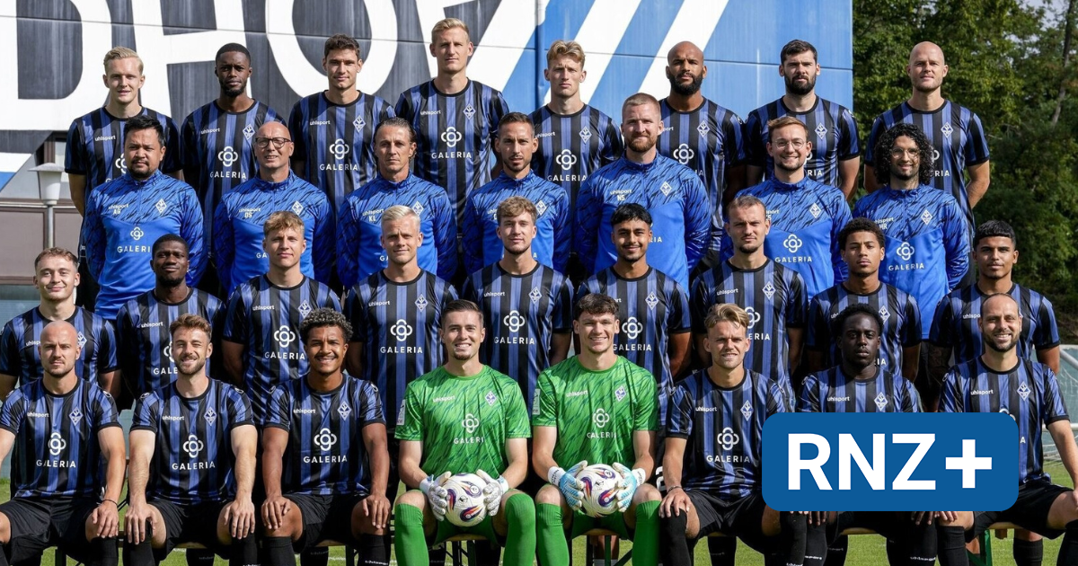 SV Waldhof Mannheim: Warum die Buwe zwischen Platz 9 und 12 landen - Sport aus der Region - Nachrichten und Aktuelles