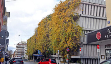 Mannheimer Parkhausbetriebe: Auch Bürgermeister Eisenhauer beschädigt