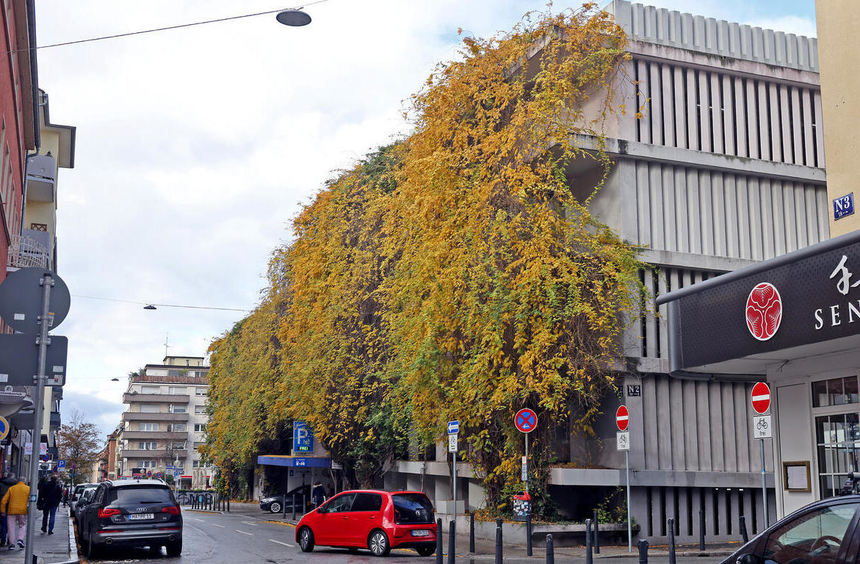 Mannheimer Parkhausbetriebe: Auch Bürgermeister Eisenhauer beschädigt