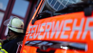 Schwäne und Enten in Ilvesheim gerettet