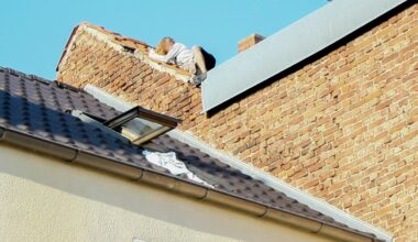 Brandenburg: Feuerwehrmann rettet Sonnenanbeterin vom Dach | Regional