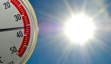 Extreme Hitze im Altkreis Halle – machen wir alle zu viel Alarm ums Wetter? | Haller Kreisblatt