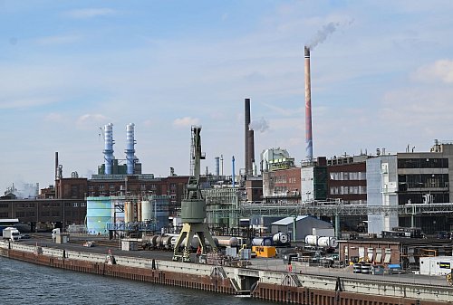 Industriepark Höchst: Bayer schließt dort seinen Standort mit 500 Beschäftigten. (Archivbild) - © Arne Dedert/dpa