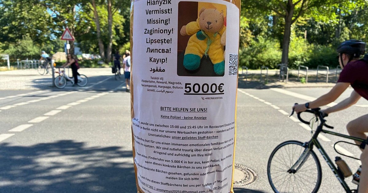 Finderlohn drastisch erhöht: Verlorener Teddy ist Bielefelder Tausende Euro Wert