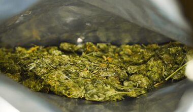 Höxteraner soll 75 Kilo Marihuana nach Deutschland gebracht haben
