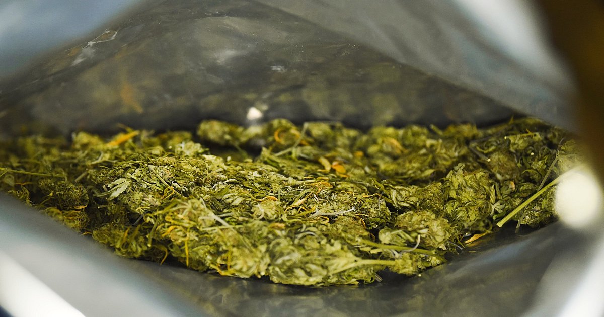 Höxteraner soll 75 Kilo Marihuana nach Deutschland gebracht haben