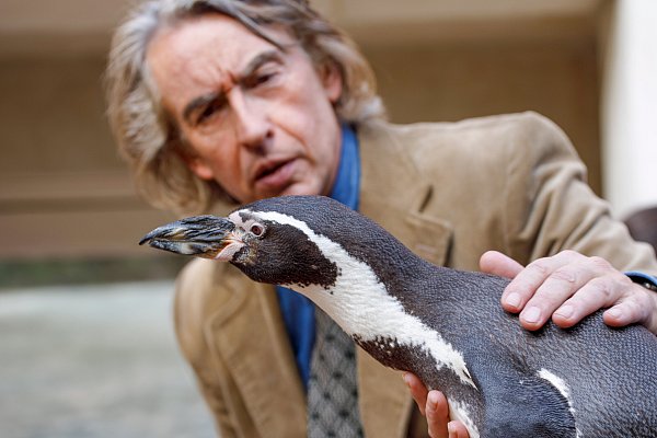 Steve Coogan als mürrischer Lehrer und sein Pinguin Juan Salvador. - © Tobis