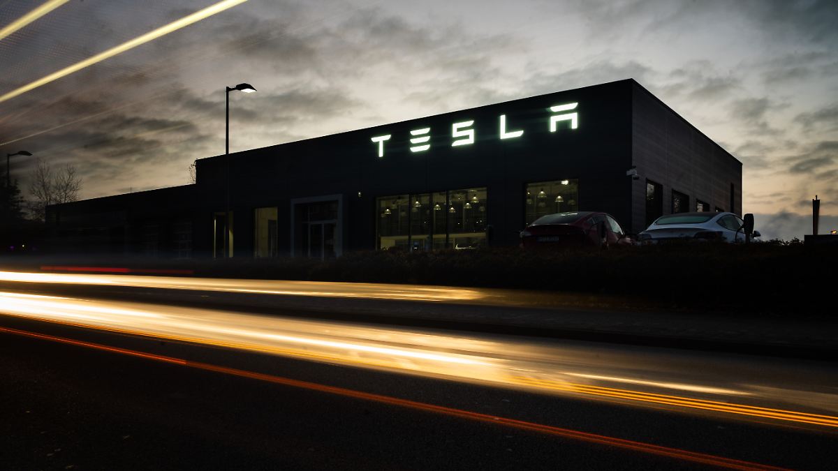 Musk nicht sonderlich erfreut: "Tesla-Bulle" legt Drei-Punkte-Plan für E-Autobauer vor