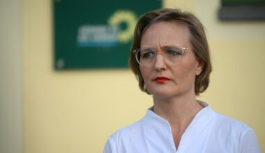Brantner fordert im Zollstreit mehr Härte von Merz